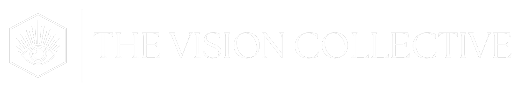 The Vision Collective